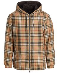 burberry hooded jacket