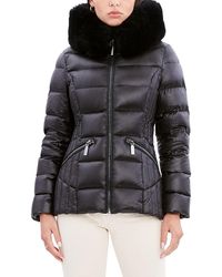 Dawn Levy Jackets for Women | Online 