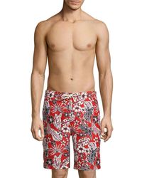 tommy bahama men's swimsuits