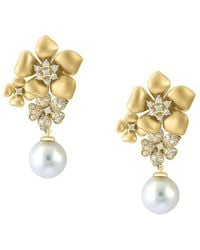 Effy - 14k Yellow Gold, 7mm Round White Freshwater Pearl & Diamond Floral Drop Earrings - Lyst