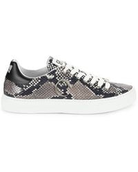 Class Roberto Cavalli - Python Embossed Leather Low Top Sneakers - Lyst