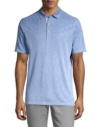 tommy bahama polos on sale