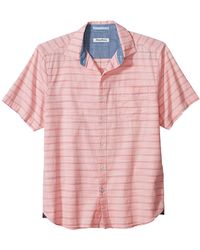 tommy bahama polo sale