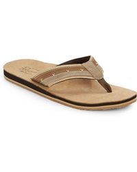 penguin brand slippers