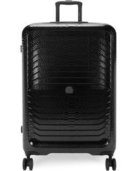 roberto cavalli travel luggage