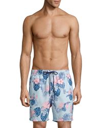 tommy bahama mens swimsuit sale