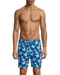 Tom \u0026 Teddy Boardshorts and swim shorts 