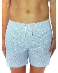 Bertigo Mini Dot Swim Shorts - Blue