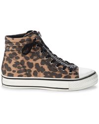 ash leopard sneakers