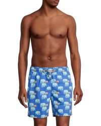 Tom \u0026 Teddy Boardshorts and swim shorts 