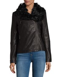 badgley mischka collarless leather jacket