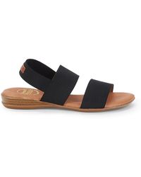 andre assous nigella