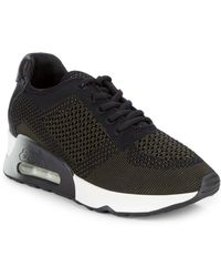 ash lacey sneaker