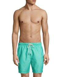 tommy bahama men's swimsuits