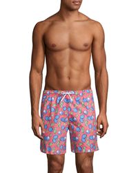 trunks surf and swim co website