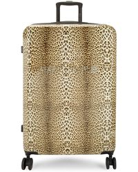roberto cavalli travel luggage