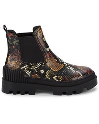 circus by sam edelman pamela snake embossed leather tall boot