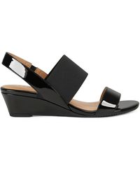 aerosole wedges black