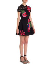 Valentino Tropical Dream Knit Dress - Black