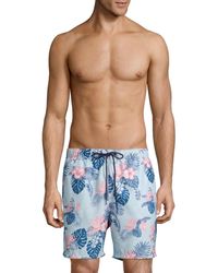 tommy bahama men's swimsuits