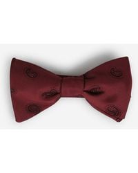 Petronius - Paisley Silk Bow Tie - Lyst