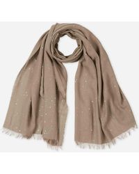 Peserico - Cotton Scarf - Lyst