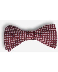 Petronius - Floral Silk Bow Tie - Lyst