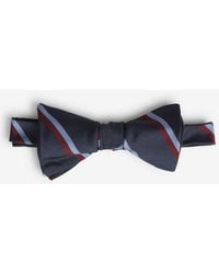Petronius - Papillon A Righe - Lyst