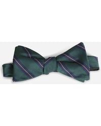Petronius - Papillon A Righe Di Seta - Lyst