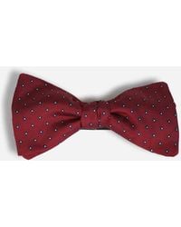 Petronius - Classic Bow Tie - Lyst