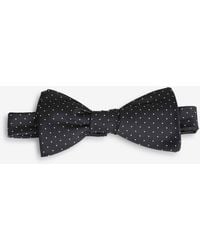 Petronius - Polka Dot Bow Tie - Lyst