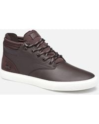 bota lacoste hombre