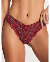 Savage X - Floral Corded Lace Brazilian Knickers - Lyst