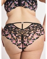 Savage X - Savage Not Sorry Lace Cheeky Knickers - Lyst
