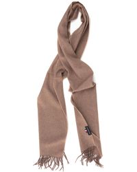 Tommy Hilfiger Scarves and mufflers for 