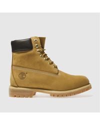 Timberland - 6 Inch Premium Boots In - Lyst