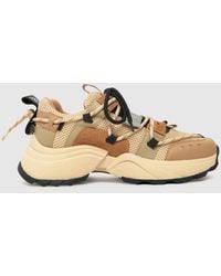 Steve Madden - Tazmania Trainers In - Lyst
