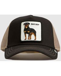 Goorin Bros - Bad Boy Trucker Cap - Lyst