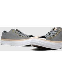 all star earthy buck ox