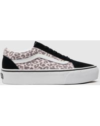 vans suede leopard cayucas