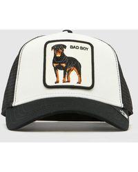 Goorin Bros - Bad Boy Trucker Cap - Lyst