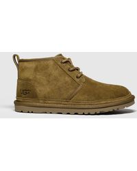 botas ugg men