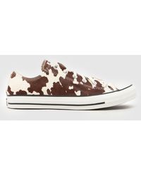 Converse - All Star Ox Winterluxe Cow Trainers - Lyst
