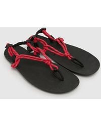 XERO - Genesis Sandals - Lyst
