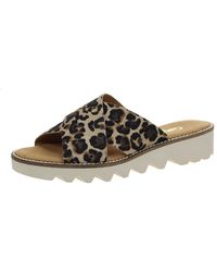 Gabor Pantoletten - Natur