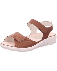 SOLIDUS - 76010 30510 - Lyst