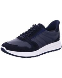 Ara - Herren Sneaker - Lyst