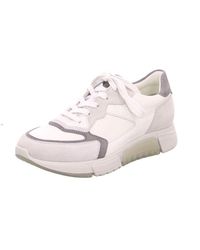 Paul Green - 236-40-7366 - Lyst