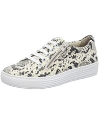 SOLIDUS - 37004 - Lyst