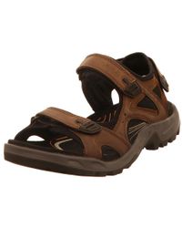 Ecco Komfort Sandalen - Braun